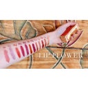 Shaoyun Lip Flower Lotus Nr. 193 - 3,60 g
