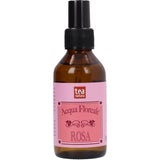 TEA Natura Rozenwater Tonic