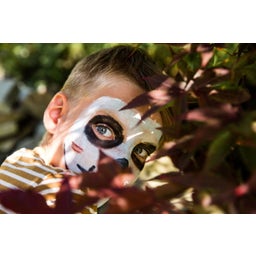 namaki Devil & Spider Face Painting Kit - 1 setti