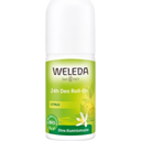 24h Deo Roll-on Citrus, 50 ml