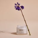 Apeiron Normal Care 24-uurs gezichtscrème - 50 ml
