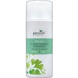 Provida Organics Shampoing Olives & Cognac
