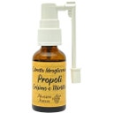 Propolis Extract Trail Rocket & Blueberry, 20 ml