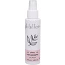 Brio Anti-Frizz Spray, 100 ml