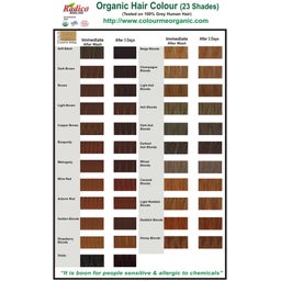 Colorante Vegetale per Capelli Champagne Blonde