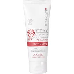 Masque Visage aux Algues Bio 