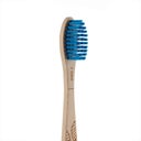 georganics Beechwood Toothbrush Firm - 1 Stk