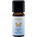 Lavande Fine Bio Grand Cru, 10 ml