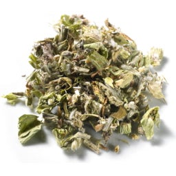Demmers Teehaus Tisane 