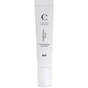 Couleur Caramel Correcteur Éclat - 31 Ivory
