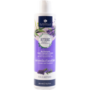 Alkemilla Eco Bio Cosmetic Shampoing Lavande & Eucalyptus - 250 ml